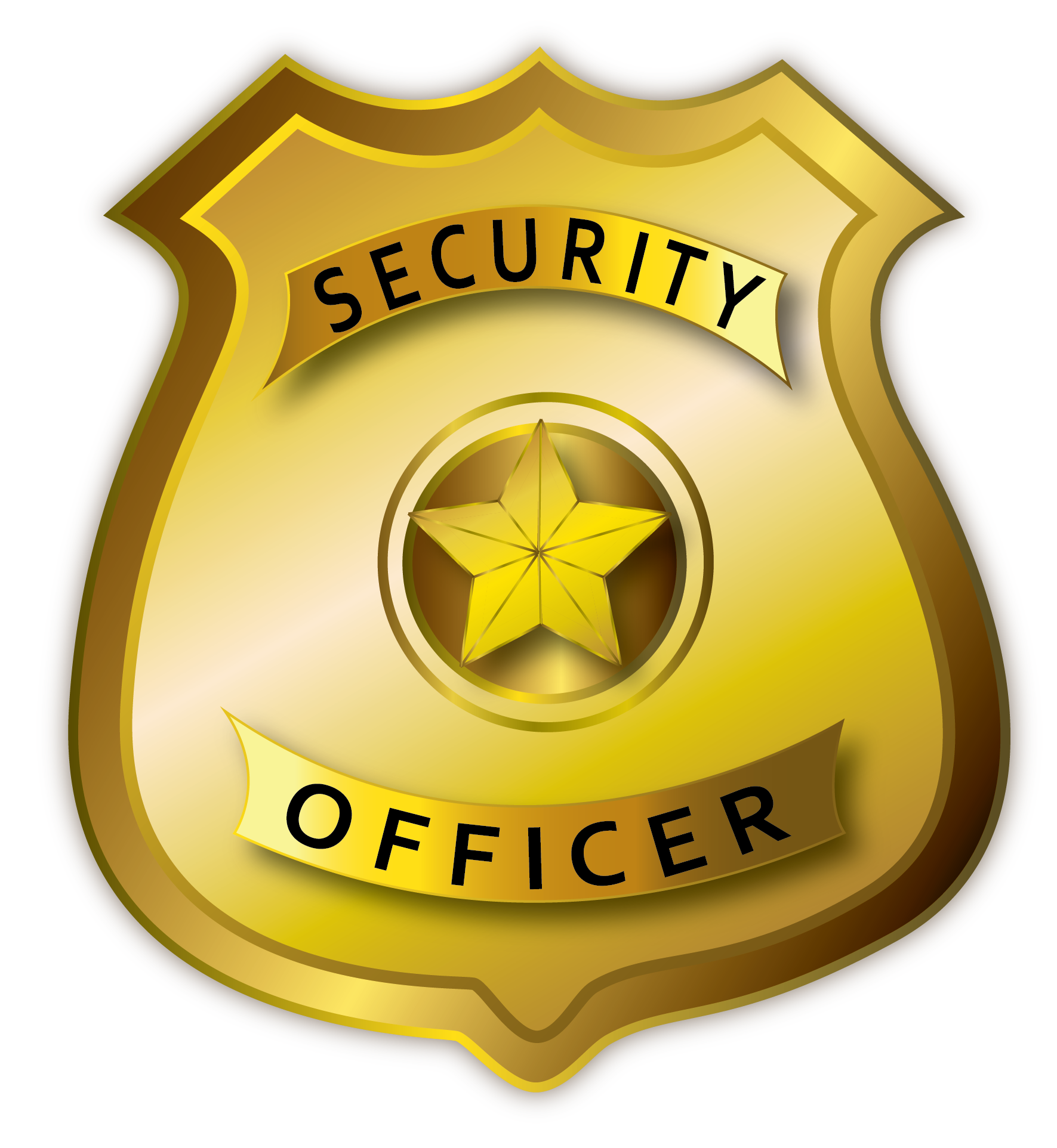 Public Safety Officer Logo