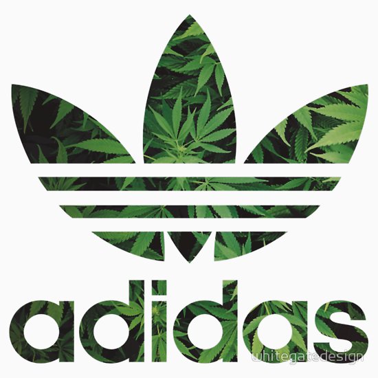Kalligraph Richtig Zähmen adidas weed logo organisieren Nüchtern Sitten ...