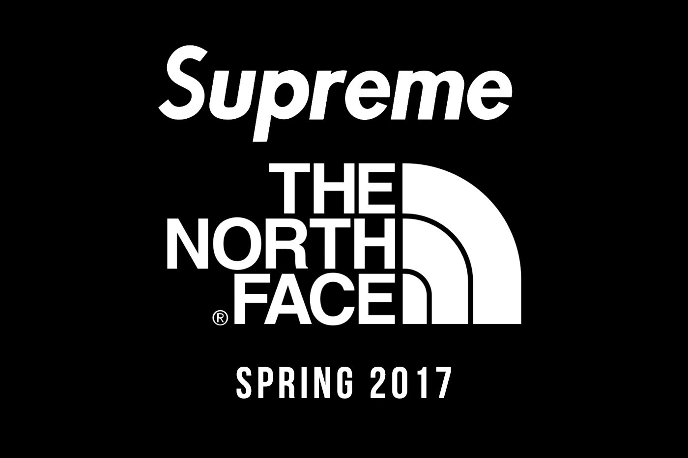 north face supreme logo