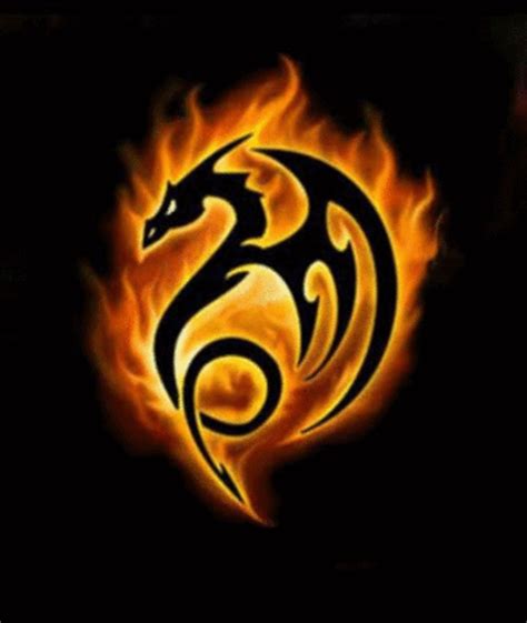 Fire dragon Logos