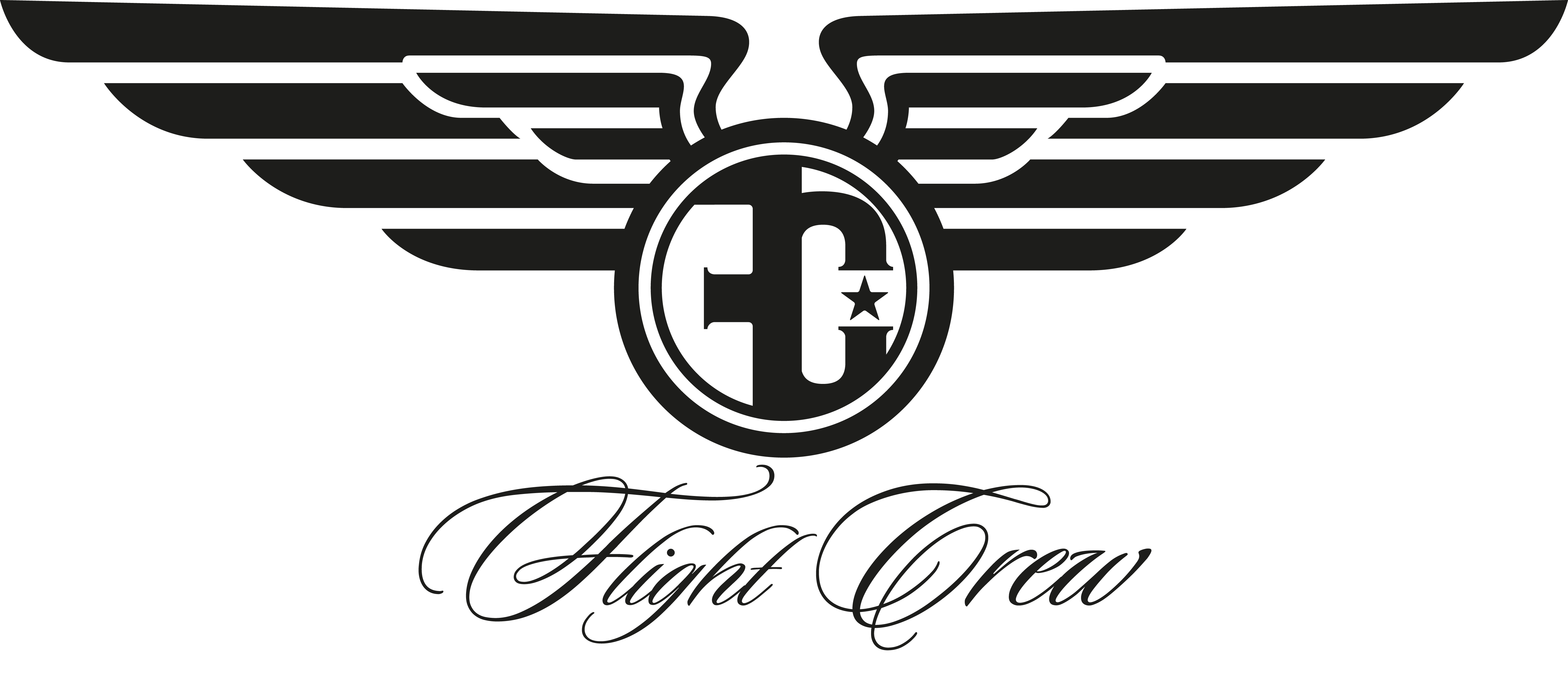 Flight Logos