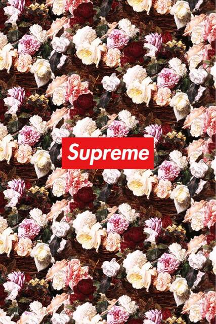 Best rose supreme wallpapers and hd background images for your device! 