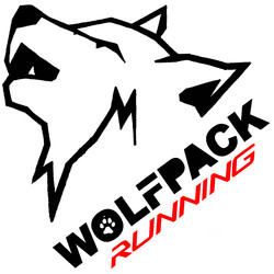 star wars wolfpack logo keychain